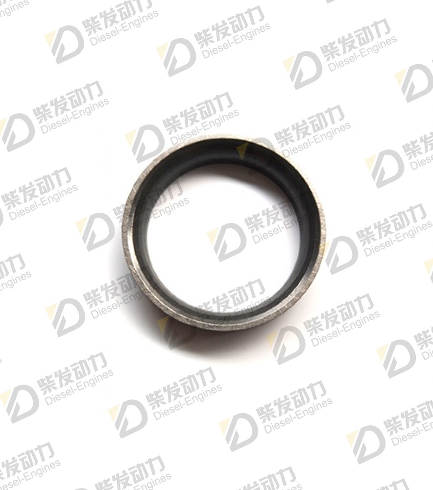 Valve seat, exhaust 20564028 